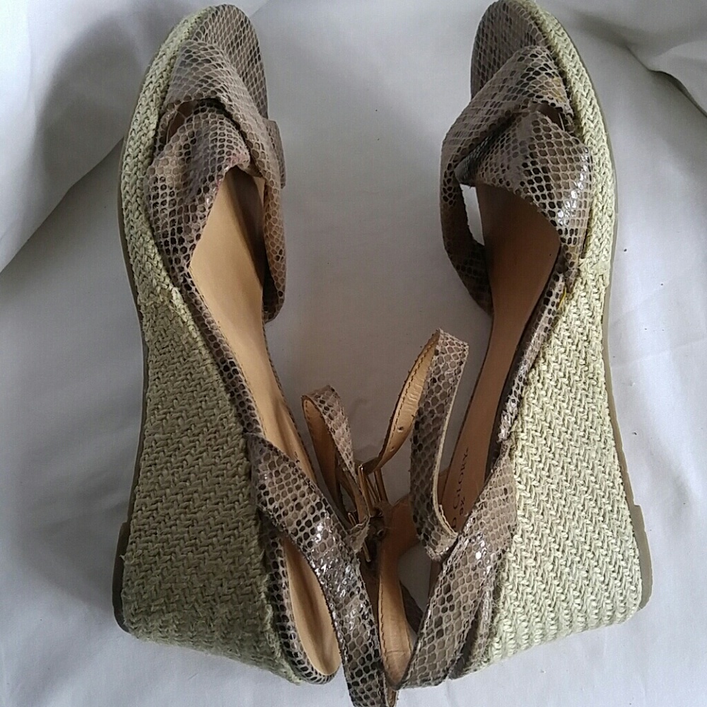 Shoes - Picture 5 of 5